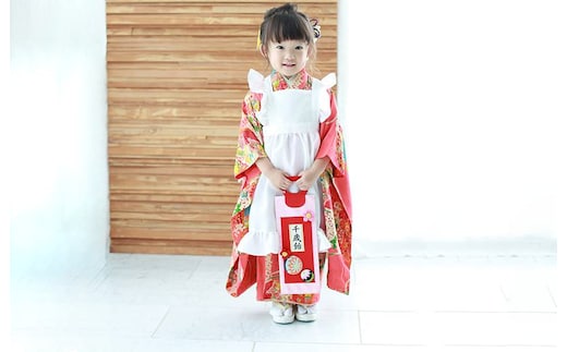 大正ロマン 被布エプロン ベビー キッズエプロン 七五三 エプロンドレス 099H2086