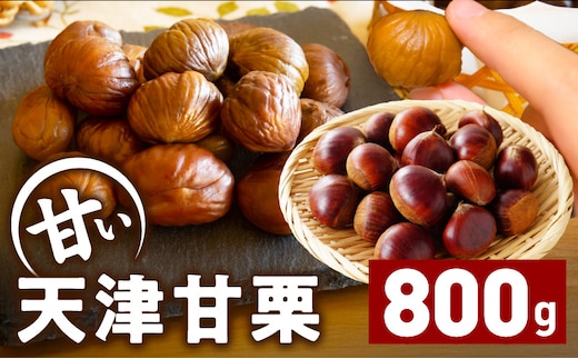 当店自慢の天津甘栗 800g（400g×2袋） 099H2328