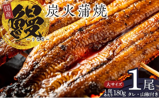 国産うなぎ 大サイズ 180g×1尾【タレ 山椒付き 有頭 炭火 蒲焼 鰻】 099H2332