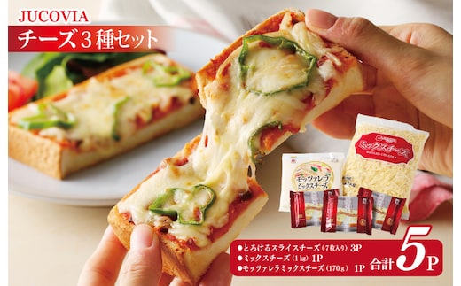 【ムラカワチーズ】人気チーズ 3種セット【食べ比べ 普段使い 高評価 ちーず】 010B1637