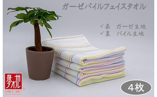 ボーダーカラー ガーゼパイルタオル 4枚【泉州タオル 国産 吸水 普段使い シンプル 日用品 家族 ファミリー】 099H2381