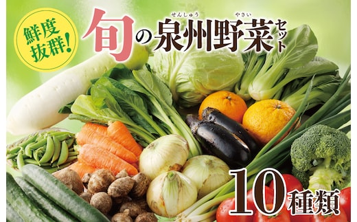 新鮮 野菜セット 10種類【国産 新鮮 おまかせ お楽しみ 旬 詰め合わせ 泉州野菜】 099H2491