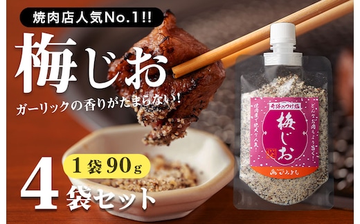 焼き肉専門店 梅じお ガーリック スパイス 90g×4袋 お試し 099H2493