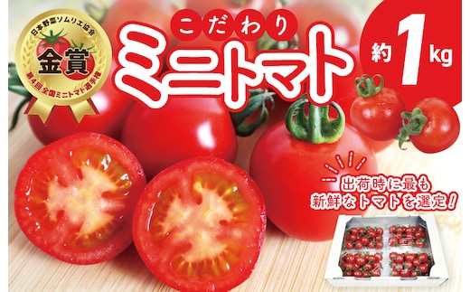 【先行予約】こだわり ミニトマト 4パック 合計 約1kg【選手権 金賞受賞 日本野菜ソムリエ協会 新鮮 野菜 泉佐野産 とまと やさい 高評価 数量限定】 G3702