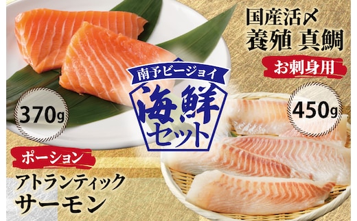 【南予ビージョイ】サーモン＆国産活〆 真鯛 お刺身セット【小分け 訳あり サイズ不揃い 刺身 海鮮丼 人気 オススメ 冷凍】 nbj0004