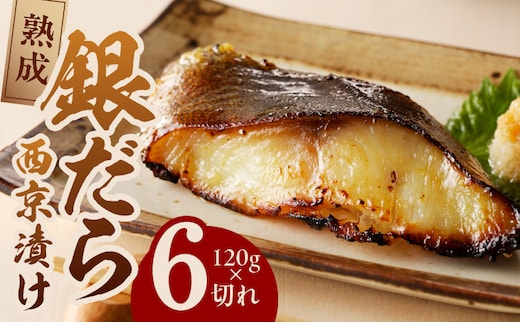 銀鱈 西京漬け 120g×6切れ【厚切り 小分け 熟成 銀だら ぎんだら ギンダラ 海産物 魚 惣菜 西京焼き 味噌 お酒のあて 訳あり サイズ不揃い 家計応援 切り落とし】 kgp0036