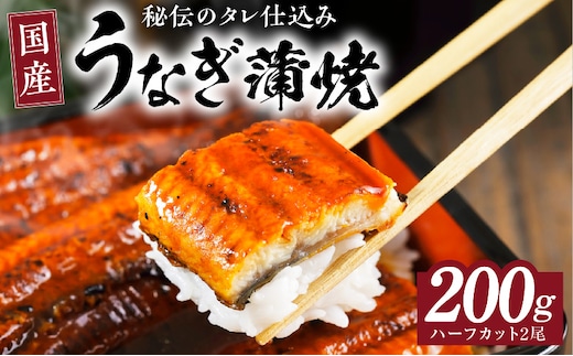 国産うなぎ ハーフカット 合計 200g 秘伝のたれ 蒲焼 訳あり 鰻 ウナギ 無頭 炭火焼き 備長炭 手焼き kgp0037