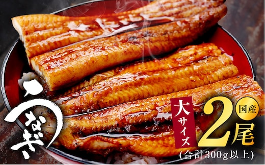 大サイズ 国産うなぎ 2尾 合計300g以上 kgp0038