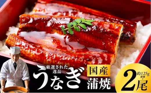 国産うなぎ 約125g×2尾 秘伝のたれ 蒲焼 鰻 ウナギ 有頭 炭火焼き 備長炭 手焼き kgp0039