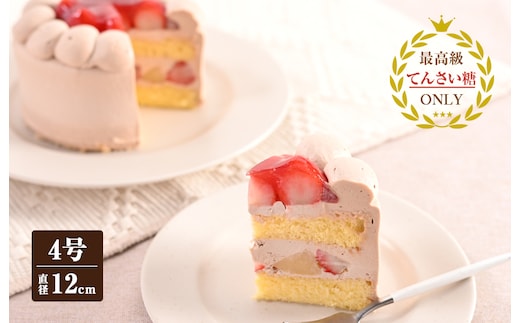 生チョコデコレーション （冷凍ケーキ） 12cm×1台【洋菓子 スイーツ おやつ てんさい糖 冷凍ケーキ】 099H2837