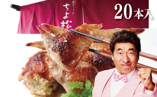 【年内発送】手羽先餃子20本 (10本×2袋) 日本料理屋のお惣菜 さのうまみ鶏 小分け 099H3104