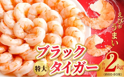 高級ブラックタイガー エビ 2kg えび 海老 約60-80尾 特大 背ワタなし kgp0053