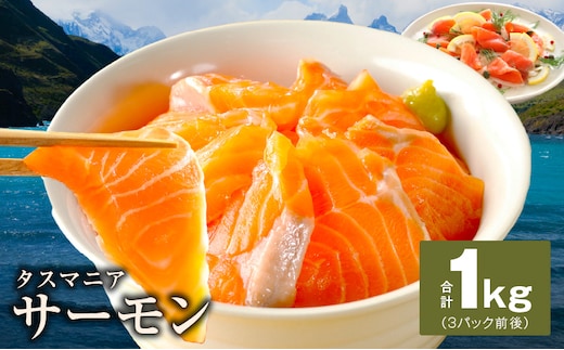 タスマニアサーモン 1kg【アトランティクサーモン 真空パック 小分け ブロック 訳あり サイズ不揃い 上質 刺身 海鮮丼 サラダ 冷凍 物価高応援】 kgp0054