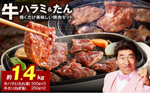 大人気 ファミリー向け 焼肉セット 牛たん 牛ハラミ肉 合計1.4kg【牛肉 焼くだけ 小分け BBQ やきにく 数量限定】 099H4054