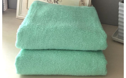 超大判バスタオル２枚セット（ウォーターグリーン）泉州タオル 90×170cm【泉州タオル 国産 吸水 普段使い 無地 シンプル 日用品 家族 ファミリー】 020C476