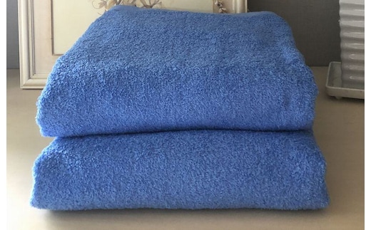 超大判バスタオル２枚セット（ブライトブルー）泉州タオル 90×170cm【泉州タオル 国産 吸水 普段使い 無地 シンプル 日用品 家族 ファミリー】 020C478