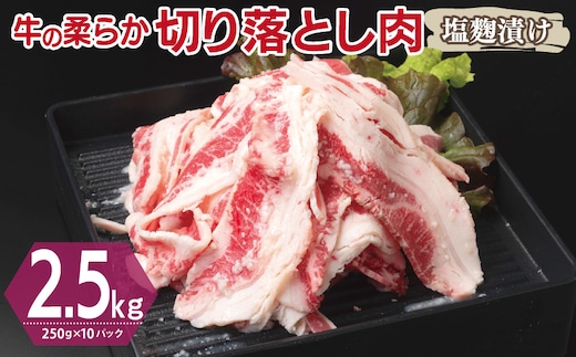 牛肉 切り落とし 塩麹漬け 合計2.5kg【味付け 小分け 焼くだけ 簡単調理 BBQ 牛肉 250g×10袋】 G3390