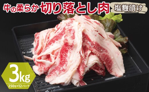 牛肉 切り落とし 塩麹漬け 合計3kg【味付け 小分け 焼くだけ 簡単調理 BBQ 牛肉 250g×12袋】 G3391
