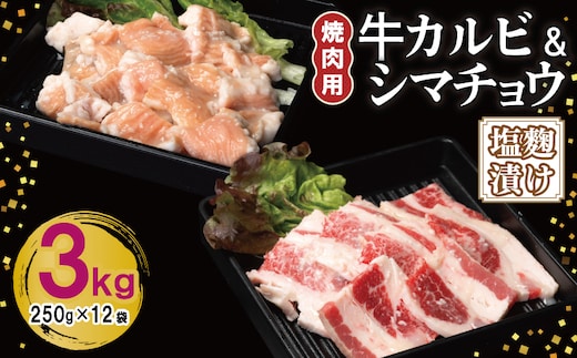 牛カルビ＆シマチョウ 塩麹漬け 焼肉セット 合計3kg【味付け 小分け 焼くだけ 簡単調理 BBQ 250g×12袋 牛肉 ホルモン】 G3400