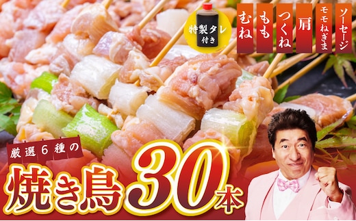 桜文 焼き鳥 6種30本セット やきとりのタレ付き 個包装 099H3403