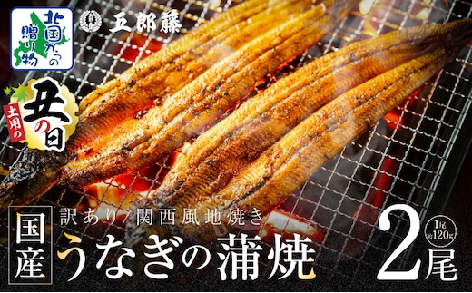 【7/26土用の丑の日】老舗「五郎藤」関西風地焼き 国産有頭旨鰻 計約240g前後【120g×2尾 うなぎ ウナギ 蒲焼き 炭火】 099H3442d