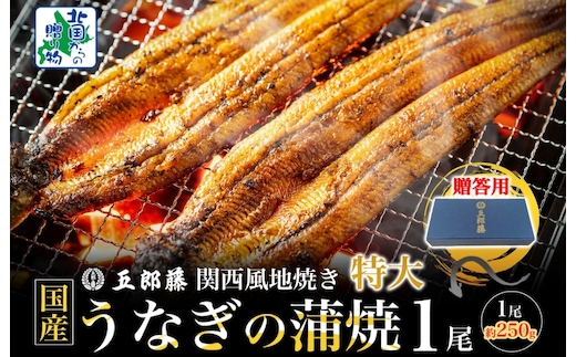 【贈答用】五郎藤 関西風地焼き 国産有頭旨鰻 250g×1尾 計約250g 特大 うなぎ ウナギ 蒲焼き 炭火 099H3443-1