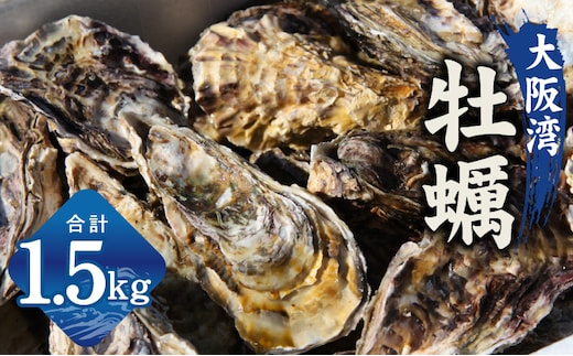 牡蠣 1.5kg【先行予約 カンカン焼きセット かき 冷凍 加熱用 殻付き 魚介類 海鮮 大阪湾 産地直送】 G2186