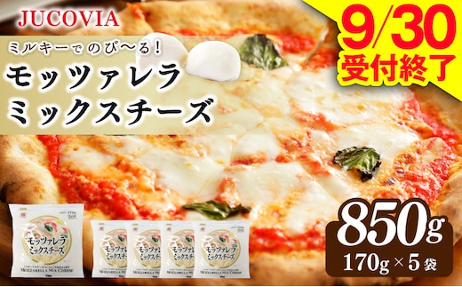 【9/30受付終了】JUCOVIA モッツァレラミックスチーズ 850g【ムラカワチーズ 小分け 170g×5P 普段使い 高評価 ちーず】 099H3527