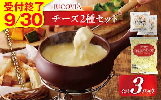 【9/30受付終了】JUCOVIA ミックスチーズ 1kg×1P・モッツァレラミックスチーズ 170g×2P【ムラカワチーズ 食べ比べ セット 詰め合わせ 小分け 普段使い 高評価 ちーず】 099H3528