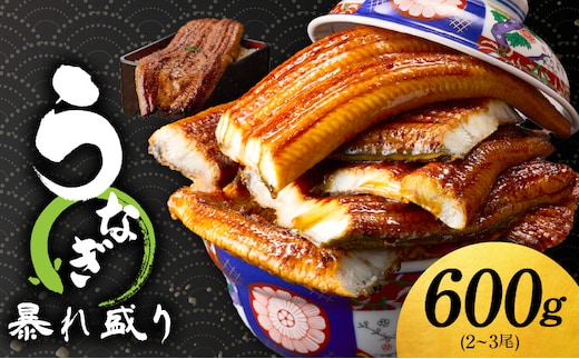 うなぎ 蒲焼き 暴れ盛り 合計 600g【鰻 真空パック 簡単調理 訳あり サイズ不揃い 人気 惣菜 うな重 うな丼 ひつまぶし にも】 G3615