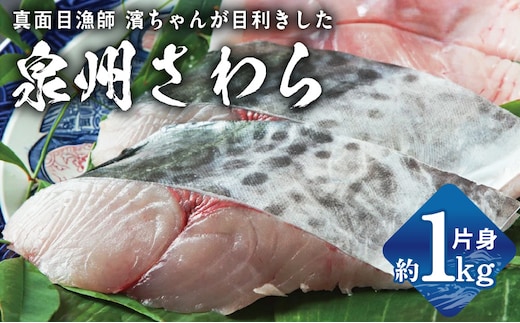 さわら 片身 1kg【漁師 目利き 海鮮 鰆 泉州 新鮮 産地直送 急速冷凍】 G2188-2