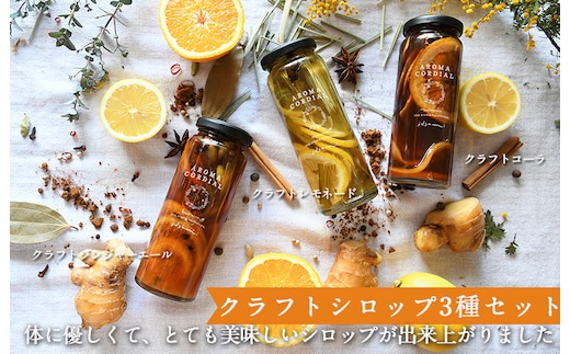 【圧倒的企業努力】クラフト飲料シロップ(コーラ、ジンジャーエール、レモネード）3本セット いずみピクルス NSW 010B1748