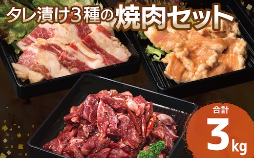 【タレ漬け3種の牛焼肉セット】 満足牛ハラミ・牛カルビ・シマチョウ 合計3kg【味付け ハラミ 小分け 焼くだけ 簡単調理 BBQ 牛肉 250g×各4P】 G3417
