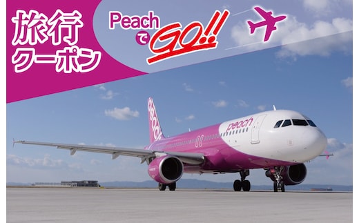 PeachでGo！！泉佐野市宿泊 旅行クーポン（300,000円分）【宿泊 旅行 ホテル トラベル】 099H389