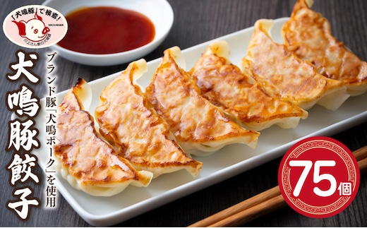 【泉佐野ブランド豚】犬鳴豚餃子 75個 (25個×3袋) 099H3920