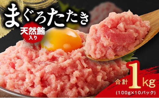 ねぎとろ 1kg（100g×10P）【天然鮪 小分け 海鮮 人気 オススメ 小分け 冷凍 簡単調理 一人暮らし ファミリー】 099H4046-1