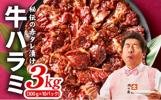 【TVで紹介！】牛ハラミ肉 3kg（300g×10）秘伝の赤タレ漬け 訳あり サイズ不揃い 099H4053