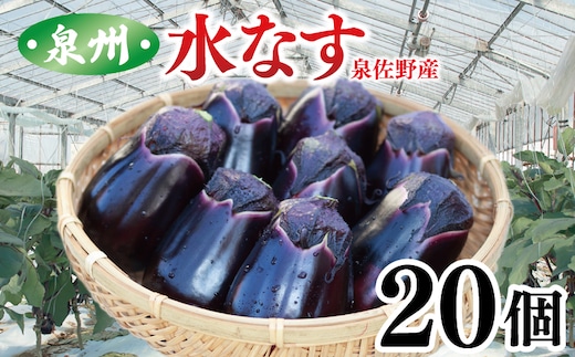 泉州 泉佐野市産 ハウス水なす 20個 夏旬の水なすを冬にどうぞ｜ 099H4104