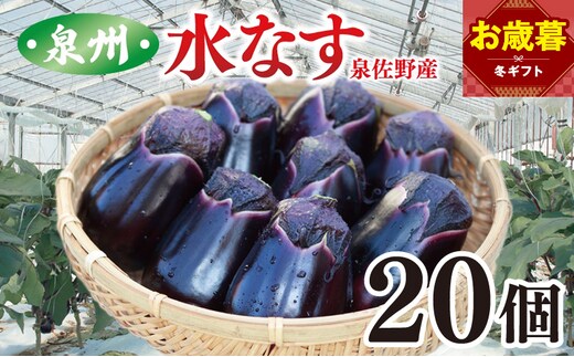【お歳暮対応】泉州 泉佐野市産 ハウス水なす 20個【茄子 泉佐野産 とれたて 新鮮野菜 やさい 高評価】 099H4104o