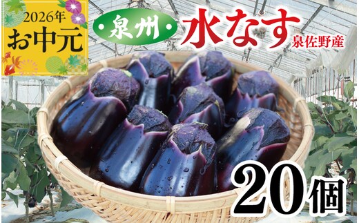 【お中元対応】泉州 泉佐野市産 ハウス水なす 20個【茄子 泉佐野産 とれたて 新鮮野菜 やさい 高評価】 099H4104t