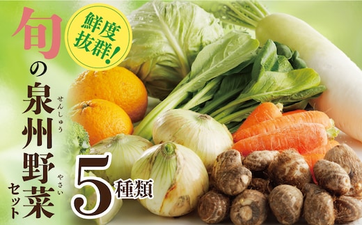 旬の野菜セット 詰め合わせ 5種類 国産 新鮮 お試し おまかせ お楽しみ 099H4172