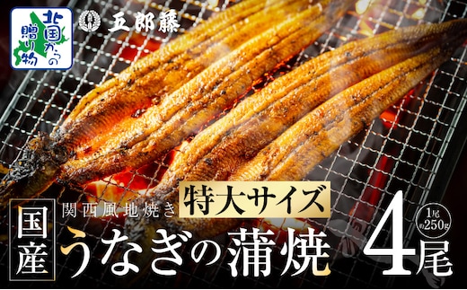 国産有頭旨鰻 250g×4尾 特大サイズ【関西風地焼き 老舗 五郎藤 うなぎ 1kg 小分け unagi ひつまぶし 簡単調理】 099H4344