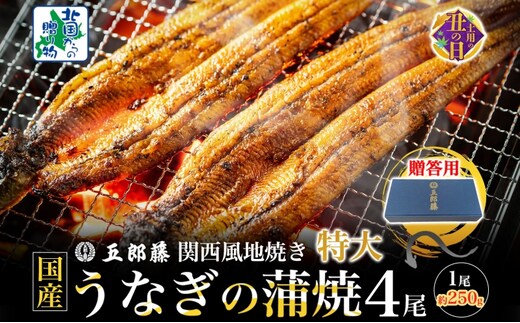 【7/26土用の丑の日】＜贈答用＞国産有頭旨鰻 250g×4尾 特大サイズ【関西風地焼き 老舗 五郎藤 うなぎ 1kg 小分け unagi ひつまぶし 簡単調理】 099H4345d