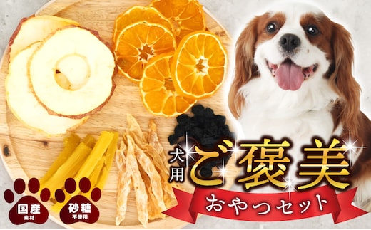 犬用ご褒美おやつセット【ドッグ いぬ 犬 イヌ おやつ ペット 果物 くだものドック 国産 安心 犬のおやつ】 099H4347