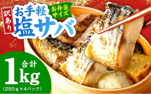 お手軽 訳アリ塩サバ1kg【魚 青魚 塩さば 塩鯖 塩サバ 切身 塩焼き 焼きさば 焼き鯖 人気 冷凍 冷凍食品 おかず 弁当 惣菜】 099H4470