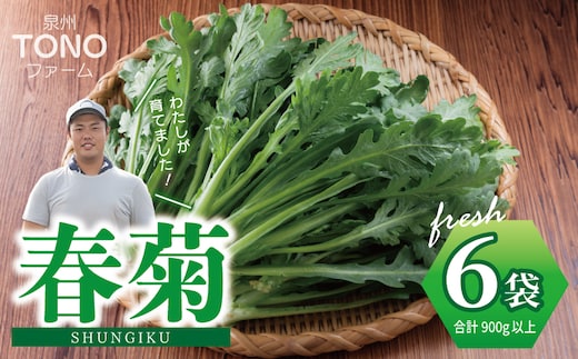 【先行予約】TONOファーム 春菊 6袋（合計900g以上） 099H4537