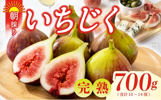 【先行予約】【農家直送】朝採り 完熟いちじく 700g以上 099H4538