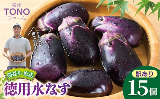 【先行予約】朝採り直送 徳用水なす 15個 訳あり 規格外 099H4539
