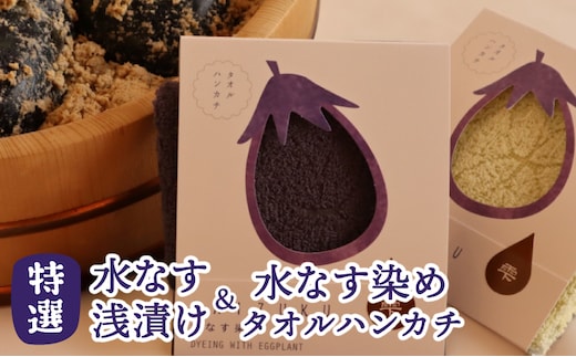 水なす浅漬け 5個 水なす染めタオルハンカチセット【新鮮 野菜 泉佐野産 茄子 やさい 高評価 数量限定】 099H4573