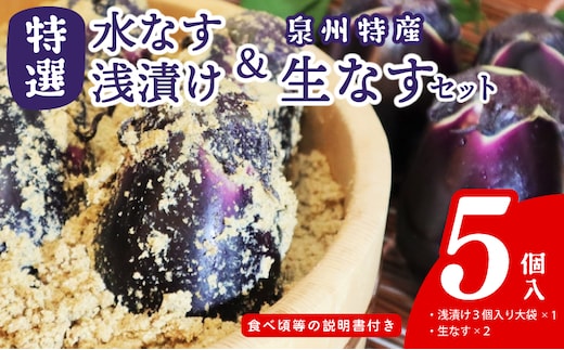 特選水なす浅漬け＆生なす 5個入り【食べ比べ 新鮮 野菜 泉佐野産 茄子 やさい 高評価 数量限定】 099H4575